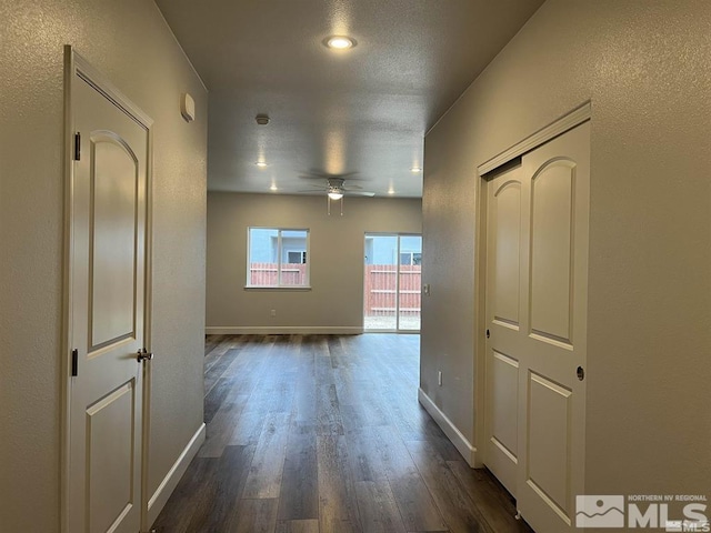 hallway featuring dark wood-type flooring