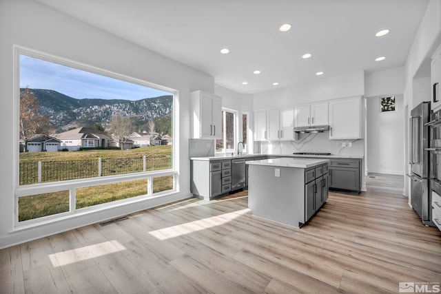 kitchen featuring light hardwood / wood-style flooring, dishwasher, a mountain view, gray cabinets, and a kitchen island