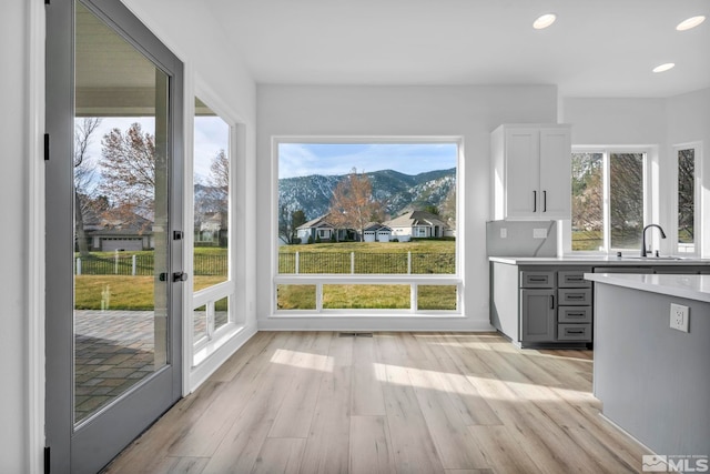 interior space featuring light hardwood / wood-style flooring and a wealth of natural light