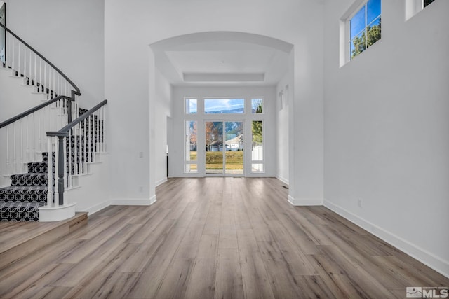 foyer entrance with a towering ceiling, light wood-type flooring, and a tray ceiling