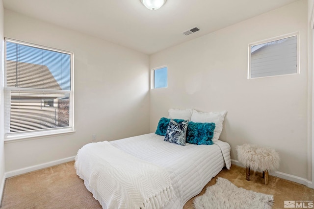 carpeted bedroom with multiple windows