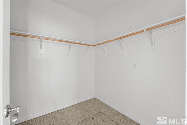 walk in closet with light carpet