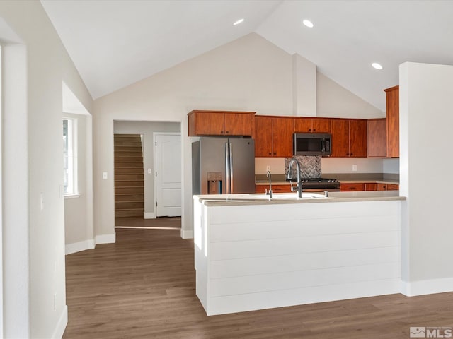 kitchen featuring sink, high vaulted ceiling, dark wood-type flooring, and appliances with stainless steel finishes