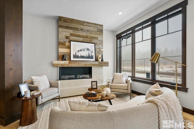 living room featuring a fireplace and light hardwood / wood-style flooring