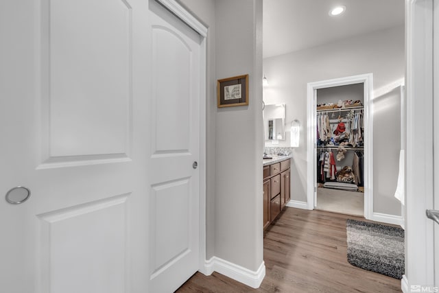 bathroom featuring wood-type flooring and vanity