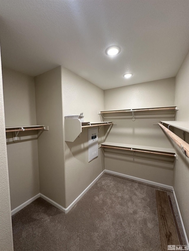 walk in closet featuring dark carpet