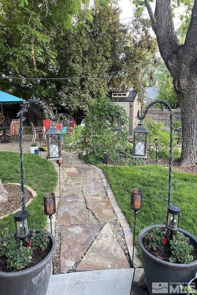 view of yard featuring a patio area