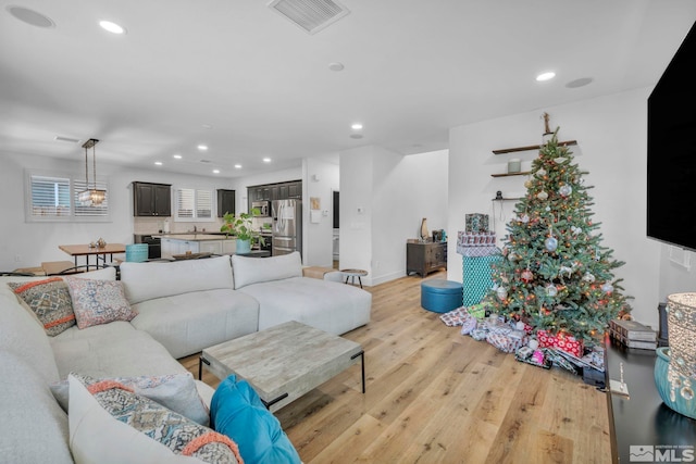 living room featuring light hardwood / wood-style flooring