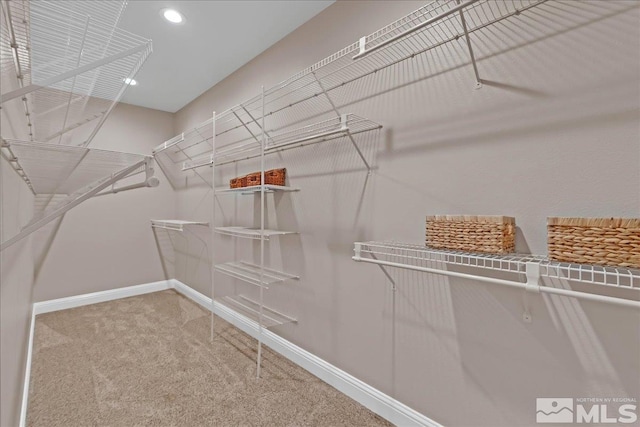 spacious closet featuring carpet flooring