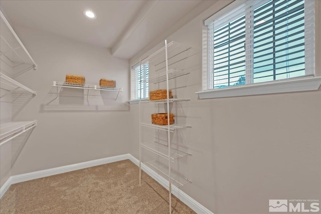 spacious closet with carpet