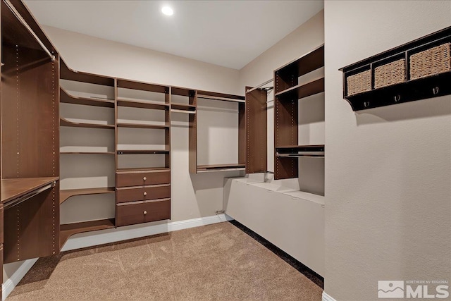 spacious closet with light colored carpet