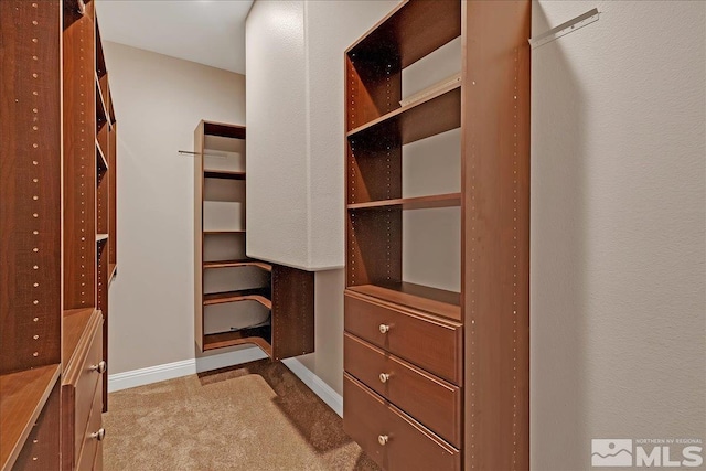 walk in closet with light colored carpet