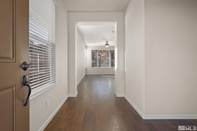 corridor featuring dark wood-type flooring