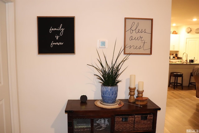 room details with hardwood / wood-style floors and sink