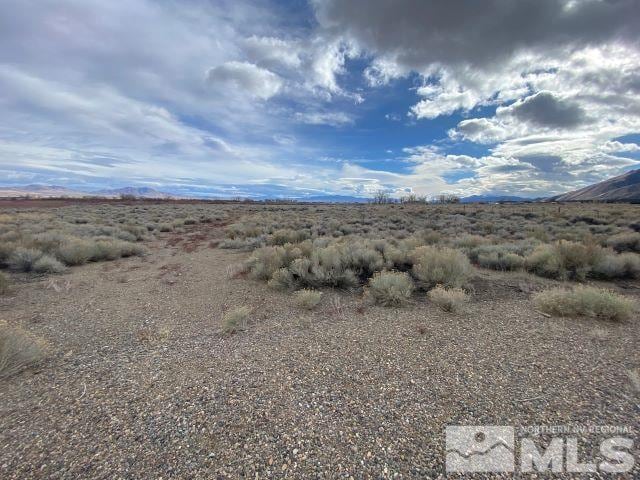 228 Artesia Rd, Wellington NV, 89444 land for sale