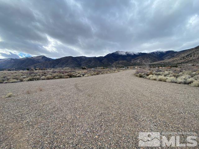 Listing photo 2 for 228 Artesia Rd, Wellington NV 89444