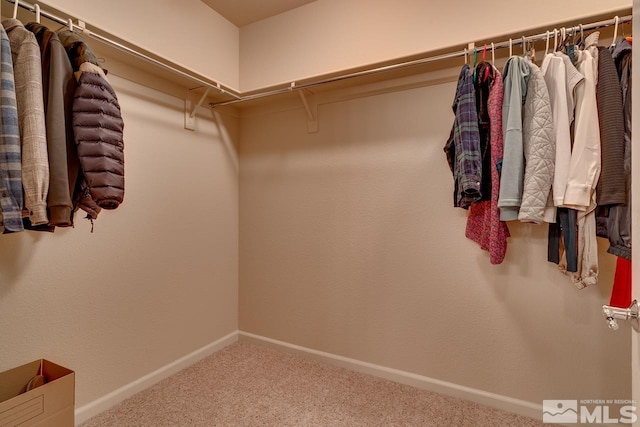 spacious closet with carpet floors