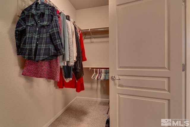 walk in closet featuring carpet