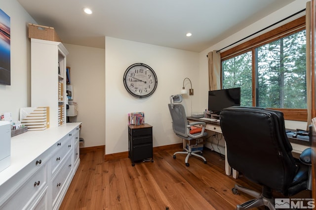 office space featuring light hardwood / wood-style flooring