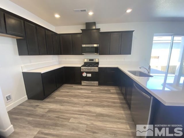 kitchen featuring sink, light hardwood / wood-style flooring, and appliances with stainless steel finishes