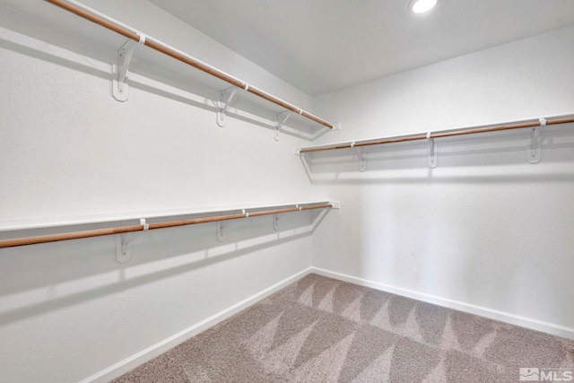 walk in closet with carpet floors