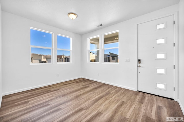 foyer featuring a wealth of natural light and light wood-type flooring