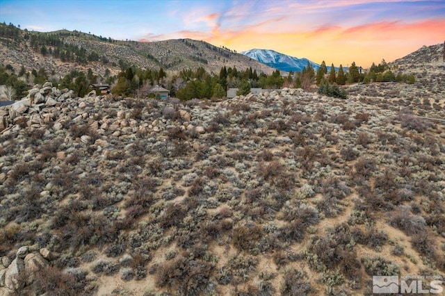 Hobart Rd, Carson City NV, 89703 land for sale