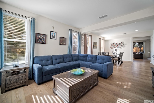 living room featuring light wood-type flooring and a wealth of natural light