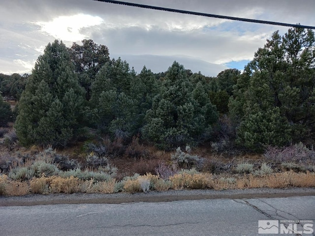 Listing photo 2 for 21330 Sazarac Rd, Reno NV 89521