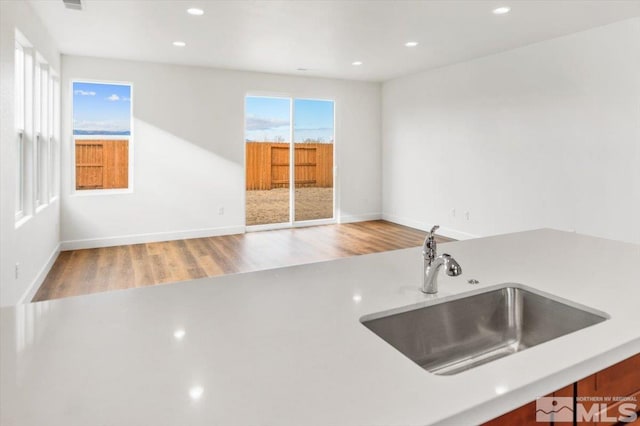 kitchen featuring hardwood / wood-style floors, sink, and a wealth of natural light