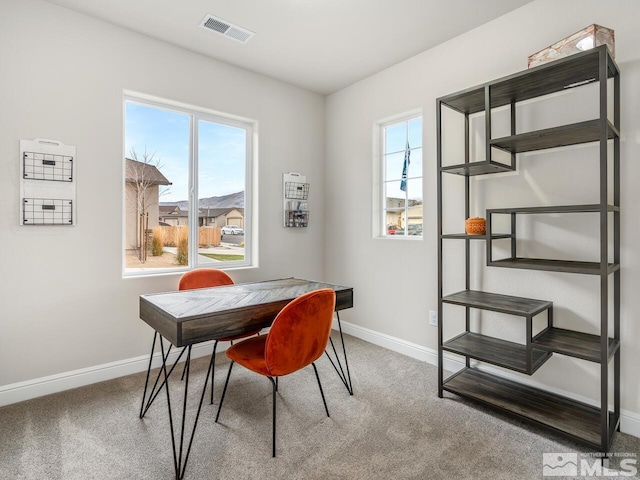 home office with carpet floors