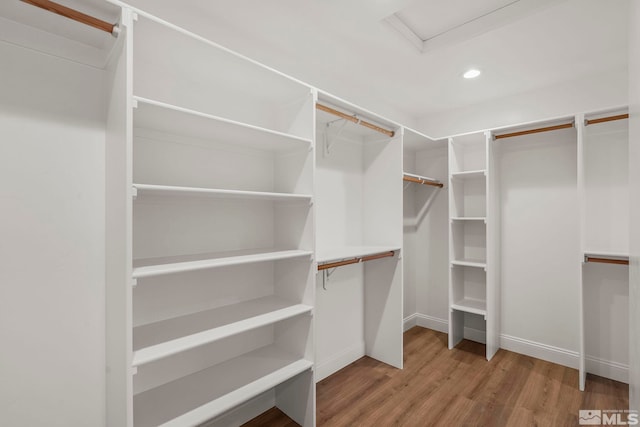 spacious closet with light hardwood / wood-style floors