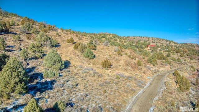 2480 Lousetown Rd, Reno NV, 89521 land for sale