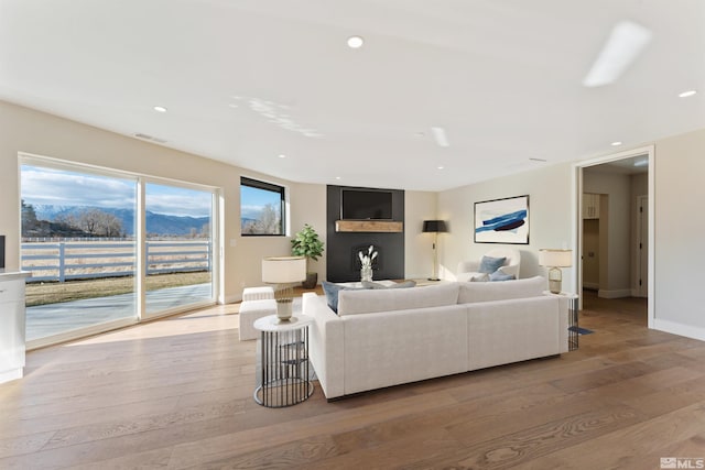 living room featuring light hardwood / wood-style flooring