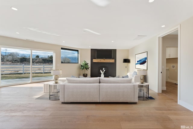 living room with light hardwood / wood-style floors and a fireplace