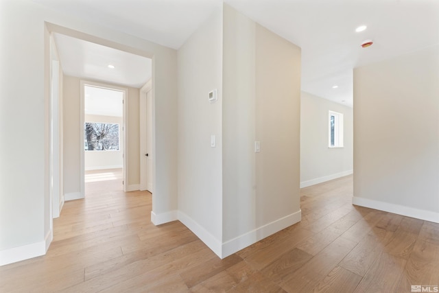 corridor with a wealth of natural light and light wood-type flooring