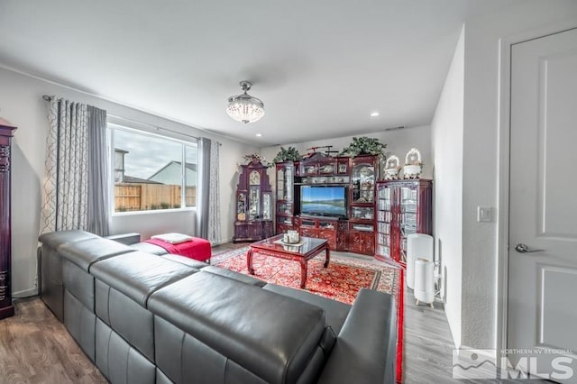 living room featuring hardwood / wood-style floors