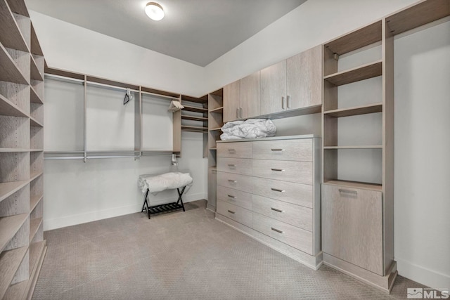 spacious closet featuring light carpet