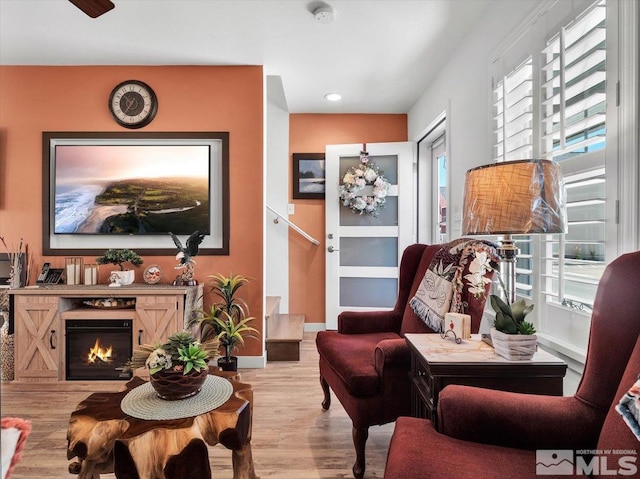 sitting room with a wealth of natural light and light hardwood / wood-style floors