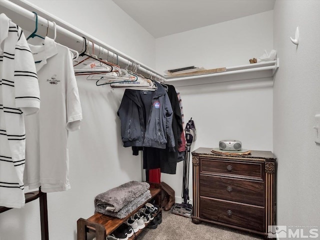 walk in closet with light carpet