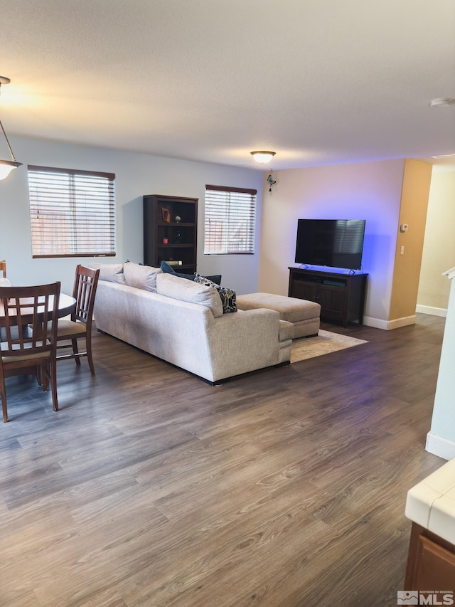 living room with dark hardwood / wood-style flooring