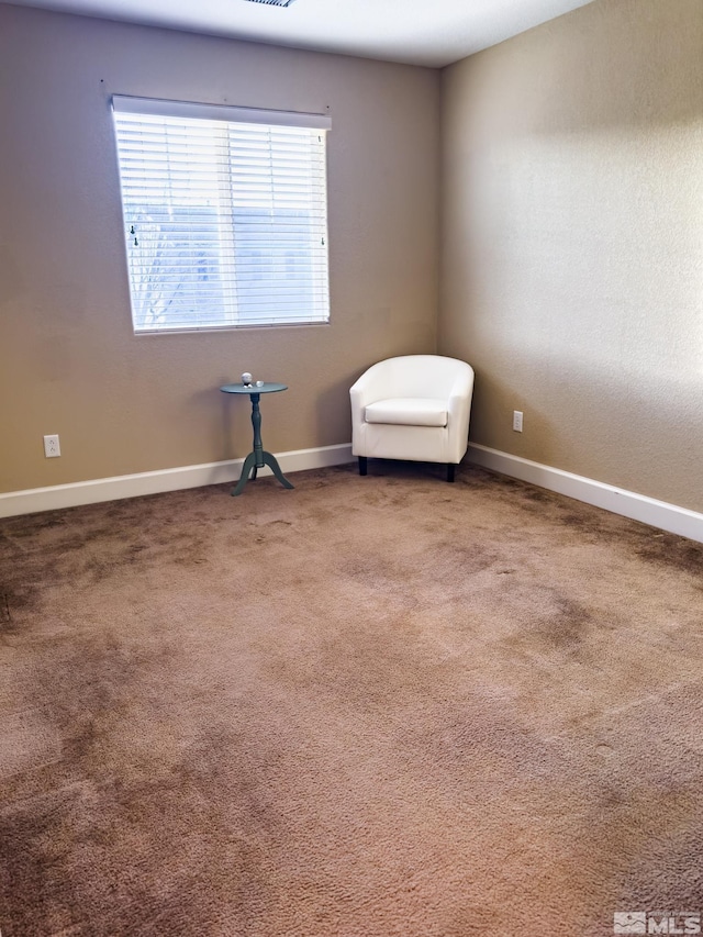 unfurnished room with carpet