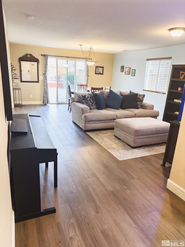 living room with hardwood / wood-style floors and a wealth of natural light