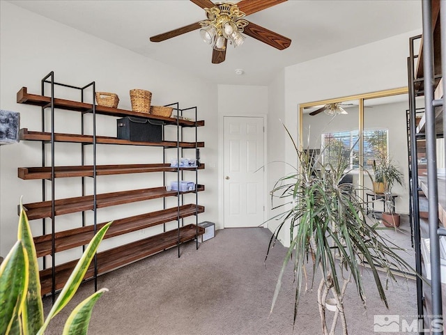 storage room with ceiling fan