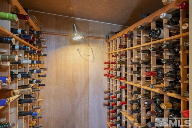 wine cellar featuring wooden walls