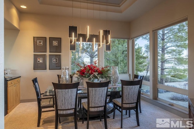 dining space featuring a raised ceiling and carpet