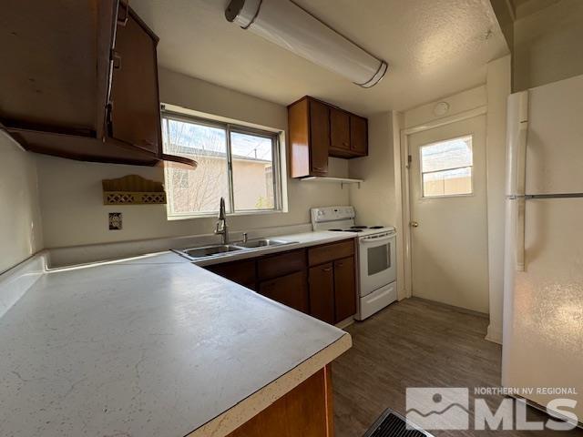 kitchen featuring dark hardwood / wood-style flooring, white appliances, and sink