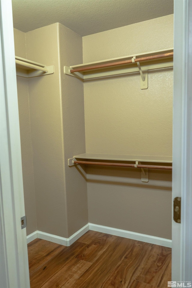 spacious closet with wood-type flooring