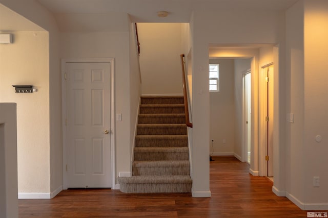 stairway featuring hardwood / wood-style flooring