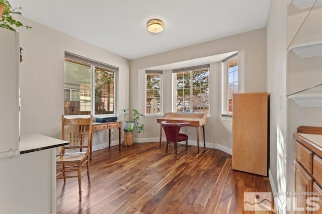 interior space with plenty of natural light and dark hardwood / wood-style flooring